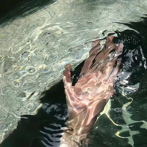 大精鱼网页版1下载
