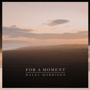 大精鱼网页版1下载
